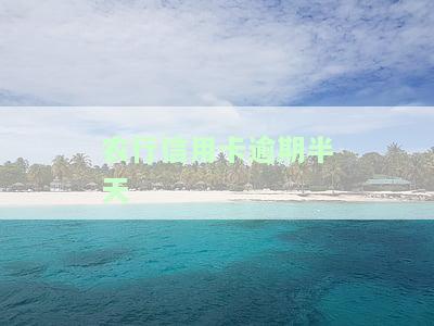 农行信用卡逾期半天-农行信用卡逾期半天有影响吗