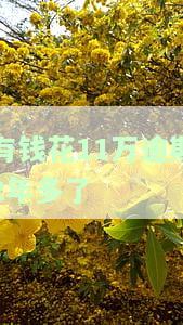 有钱花7000逾期2年，逾期两年，有钱花仍未归还7000元