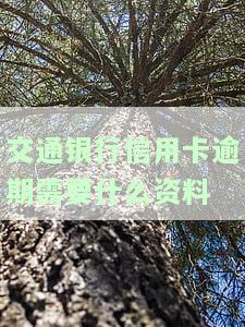 交通银行信用卡逾期需要哪些资料？能否期还款或协商还本金？