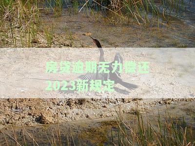 房贷逾期无力偿还2023新规定解读，2023新规：房贷逾期无力偿还的解决方案与影响解析
