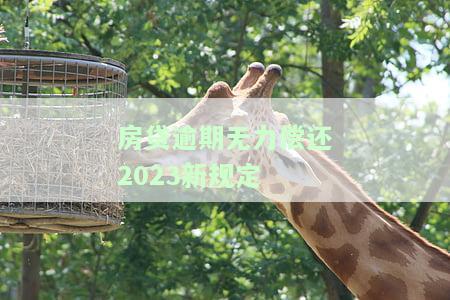 房贷逾期无力偿还2023新规定