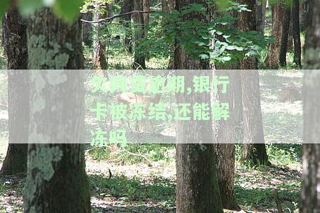 欠网贷逾期银行卡被冻结了怎么办，网贷逾期导致银行卡冻结，如何解决？