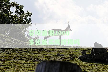 花呗逾期2000多还能买房按揭吗-花呗逾期2000多还能买房按揭吗