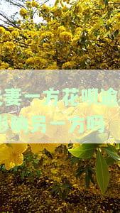 花呗逾期夫妻共债是什么意思，解读夫妻共同债务：花呗逾期的影响与责任划分