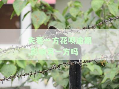 老婆花呗逾期会影响我贷款买房吗？详解其可能带来的影响及解决方案