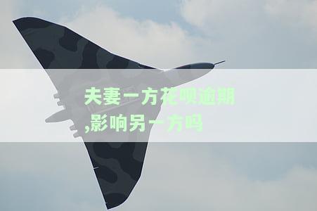 老婆花呗逾期了,会对老公有影响吗，老婆花呗逾期，对老公会有什么影响？