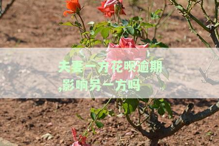夫妻一方花呗逾期,影响另一方吗-花呗逾期夫妻共债是什么意思