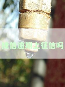 捷信现在处于什么状态，捷信的现状：当前业务发展与前景分析