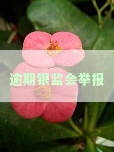 银监会投诉电话信用卡逾期：如何处理、影响及解决方法