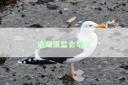 向银监会举报银行违规可以不还贷款吗，举报银行违规是否能豁免贷款义务？——向银监会举报的利与弊