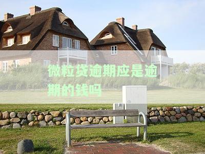 微粒贷逾期应是逾期的钱吗-微粒贷逾期应是逾期的钱吗怎么还
