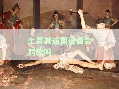 土耳其签证逾期2月罚款多少，了解土耳其签证逾期2月的罚款情况