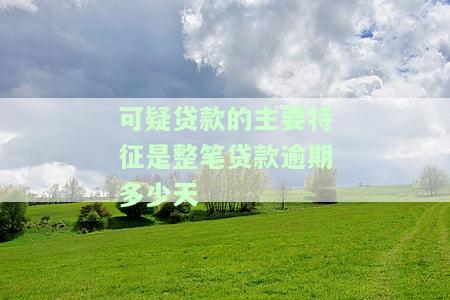 可疑贷款定义、认定标准与主要特征：不良贷款的识别与管理