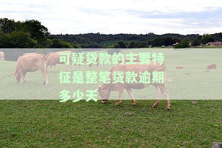 可疑类贷款最可能不会发生损失，可疑类贷款：低风险，但仍有潜在损失可能性