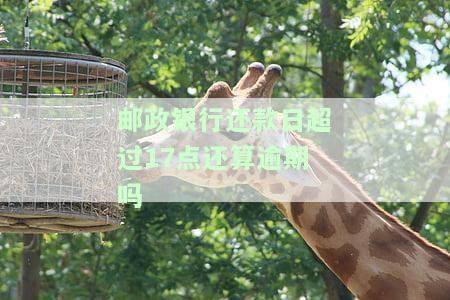 邮政蓄银行还款日宽限期，了解邮政蓄银行的还款日宽限期政策