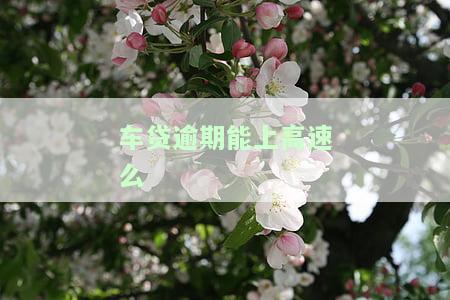 车贷逾期能否上路开？车子、贷款逾期影响驾驶解析