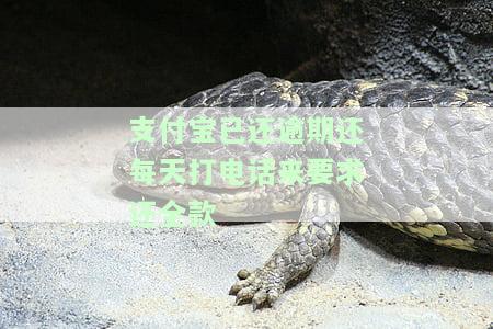 支付宝已还逾期还每天打电话来要求还全款