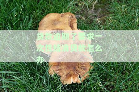 贷款逾期被要求一次性还清，突发危机！贷款逾期，被迫面临巨额还款压力