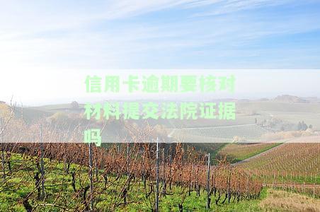 信用卡逾期要核对材料提交法院证据吗安全吗，信用卡逾期需核对材料并提交法院证据，这样做是否安全？