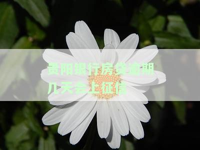 贵阳银行房贷一般在还款日几点扣，贵阳银行房贷扣款时间解析：一般在还款日的哪个时间进行？