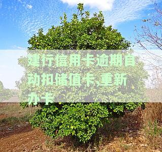 我建行信用卡逾期了，还能办蓄卡吗？会自动扣款吗？