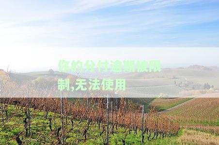 分付为何暂停使用？原因解析