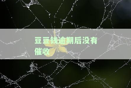 豆豆钱逾期三天开始暴力催收：天天多个电话，甚至可能爆通讯录