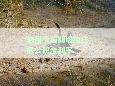 信用卡逾期增加住房公积金利率