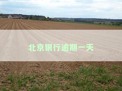 北京银行逾期一天会怎么样，北京银行：逾期一天的后果是什么？