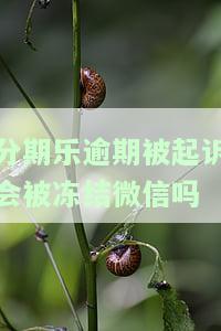 分期乐逾期会爆微信好友吗？会不会冻结微信或加微信里的人？请了解详细信息！