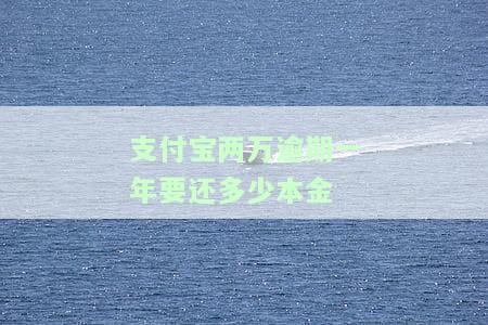 支付宝欠两万逾期一年了会面临什么后果？