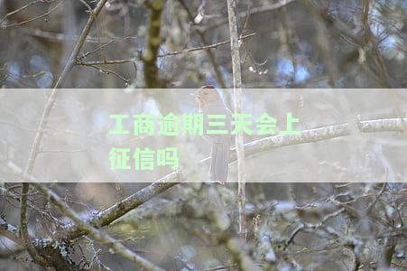 工商逾期三天会上征信吗-工商逾期三天会上征信吗知乎