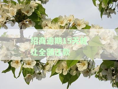 招商逾期15天严重吗，逾期15天：招商银行贷款的严重性探讨