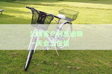 公司贷款利息逾期一天：对征信、法人代表及信用有何影响？