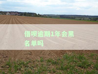 借呗逾期一年会怎样？后果严重吗？已逾期一年多如何解决？上征信吗？全解析！