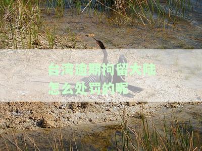 台湾人逾期居留处罚，台湾人逾期居留将面临严处罚！