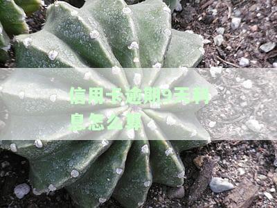 信用卡逾期9天利息怎么算