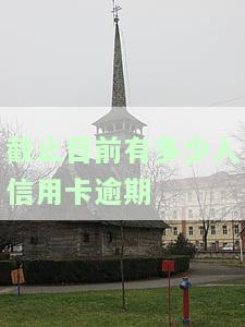 截止目前，全国信用卡逾期人数达多少？如何查询？2021年中国信用卡逾期情况