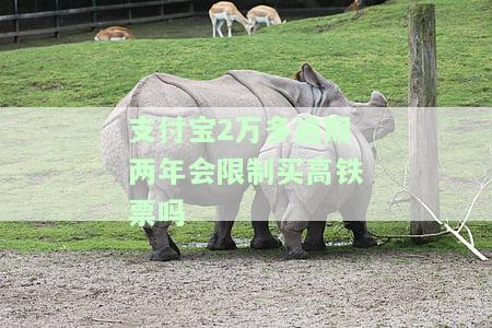 支付宝2万多逾期两年会限制买高铁票吗？真的存在风险吗？