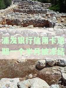浦发银行信用卡逾期一个半月被冻结，如何解冻并全额还款？