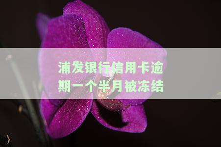 浦发逾期一个月还了一部分能协商分期吗，浦发银行信用卡逾期一月，已还款部分能否申请分期？
