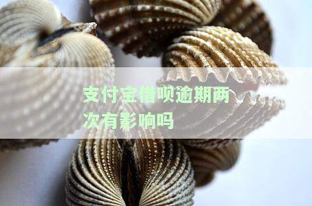 支付宝借呗逾期两次有影响吗怎么办，支付宝借呗逾期两次的影响及解决办法