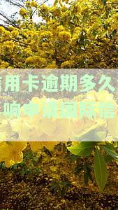 2021年信用卡逾期多久会上征信，明了还款期限！2021年信用卡逾期多久将影响个人信用记录？