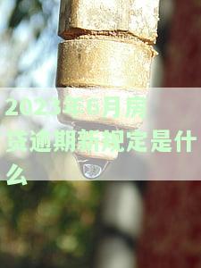 2023年房贷利率全览：最新利率、计算工具及消息一网打尽