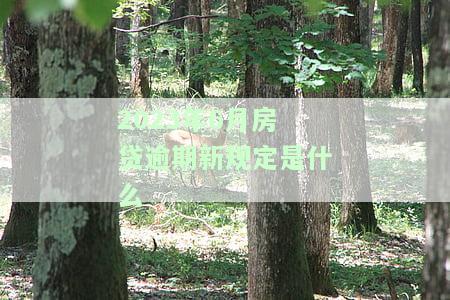 2021年房贷逾期：利息新规与解决办法