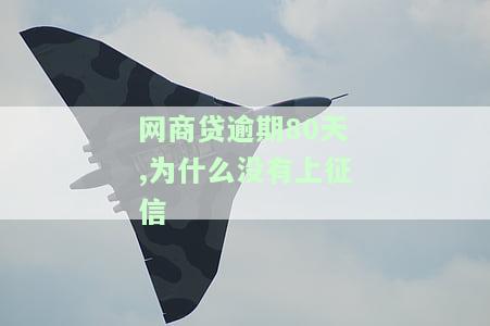 网商贷逾期80天,为什么没有上征信记录，网商贷逾期80天未被记录在征信中，原因何在？