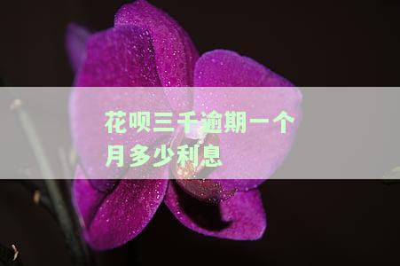 花呗逾期三千块钱,每月还五百块,行吗，花呗逾期三千，每月还款五百可行吗？