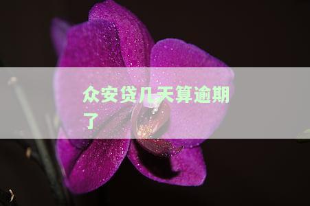 众安贷款逾期会怎么样，逾期还款会有何后果？——众安贷款逾期的可能影响