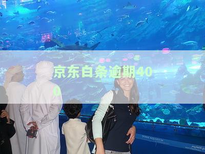 京东白条逾期400