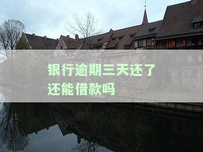 银行逾期三天还了还能借款吗，银行逾期三天还款后，是否能再次申请借款？